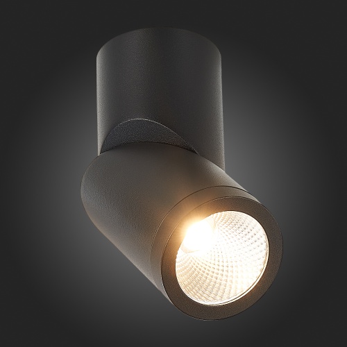 ST650.432.10 Светильник потолочный Черный LED 1*10W 3000K 800Lm Ra&gt;90 38° IP44 D62xH151 165-265V Накладные светильники