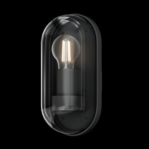 Уличный настенный светильник Outdoor O449WL-01GF