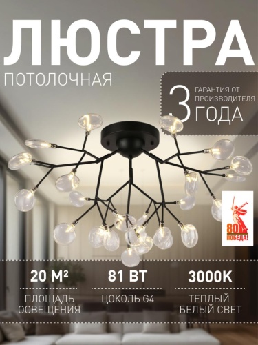 Потолочная люстра 2480-9U