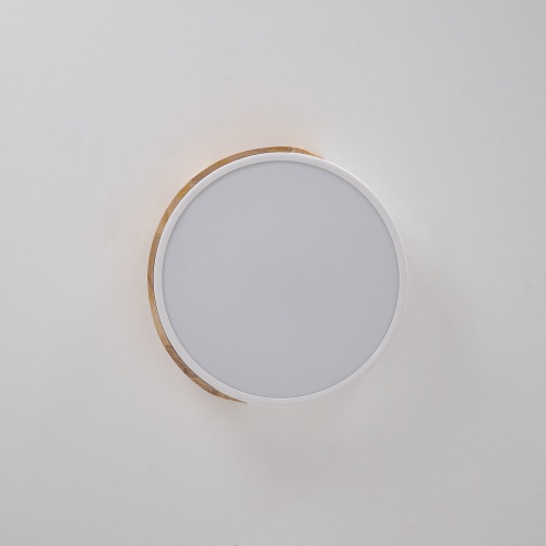 Потолочный светильник CLIP White D30 101446-26