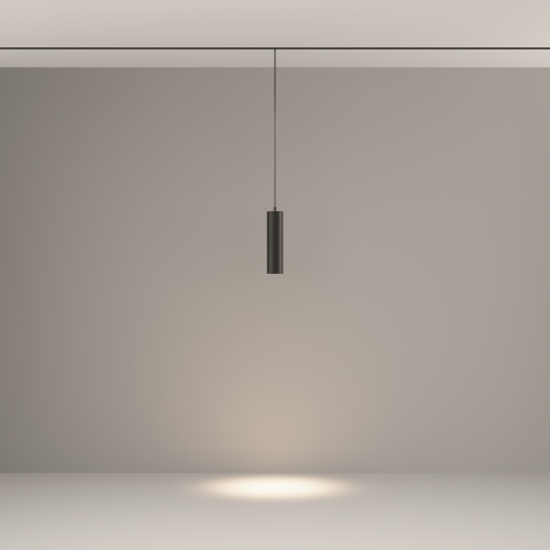 Трековый подвесной светильник Technical TR041-2-12W4K-B