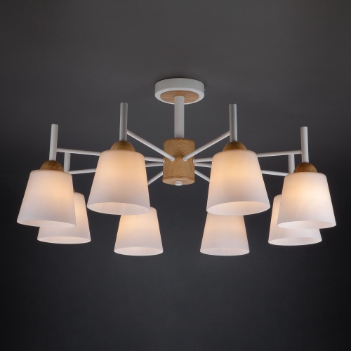 Потолочный светильник Eurosvet 70085/8 белый