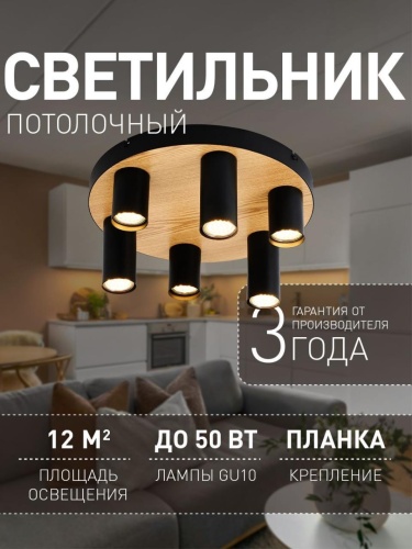 Потолочный светильник 4431-6U