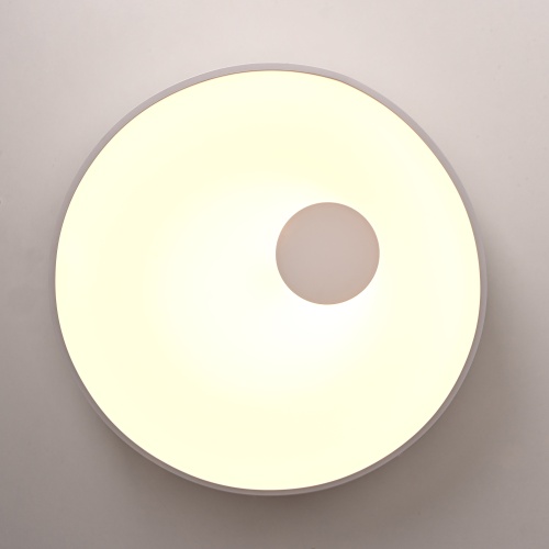 Потолочный светильник ECLA D45 189550-26