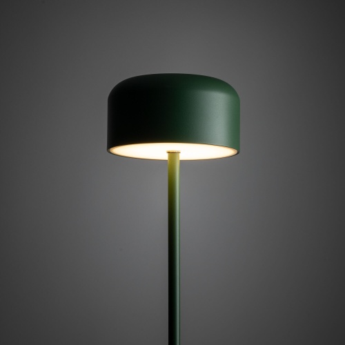 Напольный светильник TK Lighting 19007 Noa зеленый