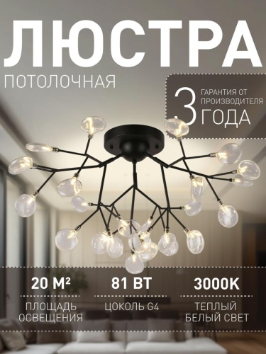 Потолочная люстра 2480-9U
