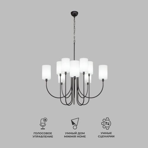  Eurosvet 60164/10/ подвесной светильник/ черный Smart