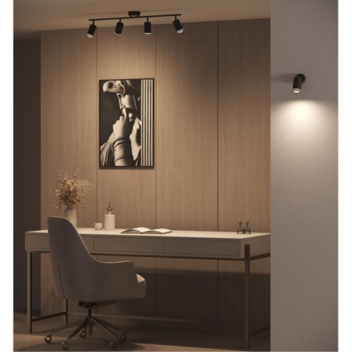 Arte lamp A2365PL-4BK СВЕТИЛЬНИК ПОТОЛОЧНЫЙ