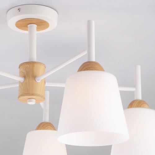 Потолочный светильник Eurosvet 70085/5 белый