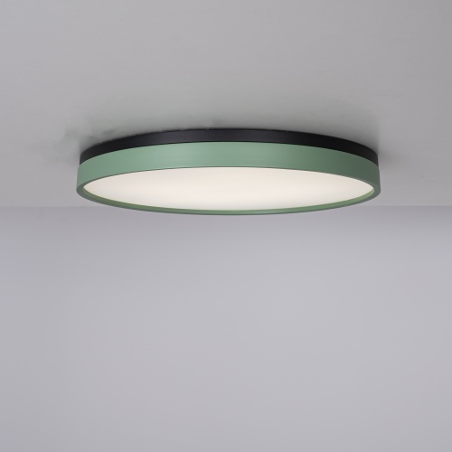 Потолочный светильник KIER D60 Green 181024-26