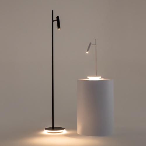 Напольный светильник (торшер) Maytoni Z010FL-L8B3K