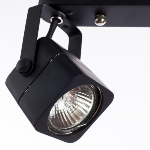 Arte lamp A1314PL-2BK СВЕТИЛЬНИК ПОТОЛОЧНЫЙ