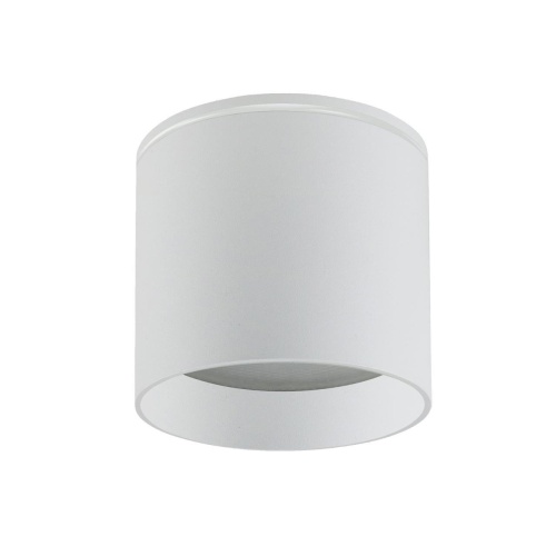 Уличный накладной светильник Favourite 4662-1U, уличный светильник, D83xH73, 1xGX53LEDx15W, IP54, excluded