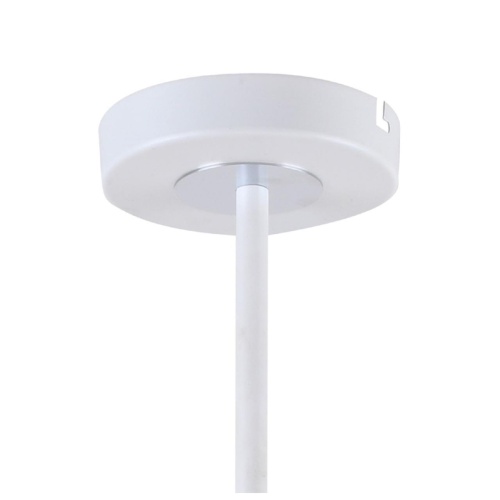 Потолочная люстра F-Promo 2559-8P, потолочная люстра, D740xH440, 8xE14x40W, excluded