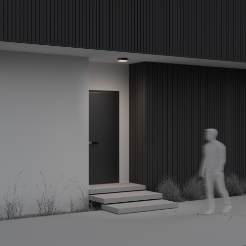 Уличный потолочный светильник Outdoor O431CL-L30B4K