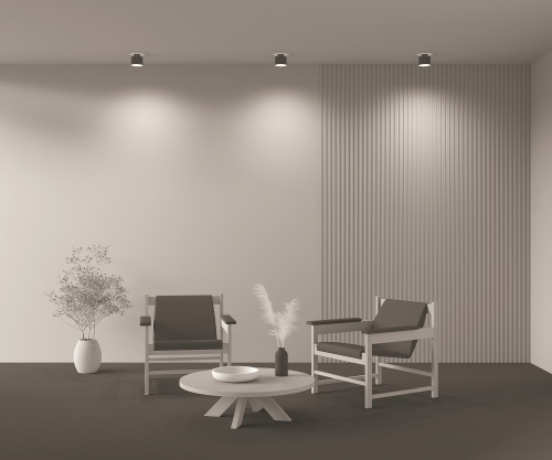 Потолочный светильник Technical C009CW-L12B