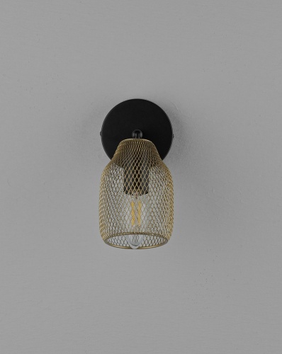 Спот Moderli V11836-1W Adalina