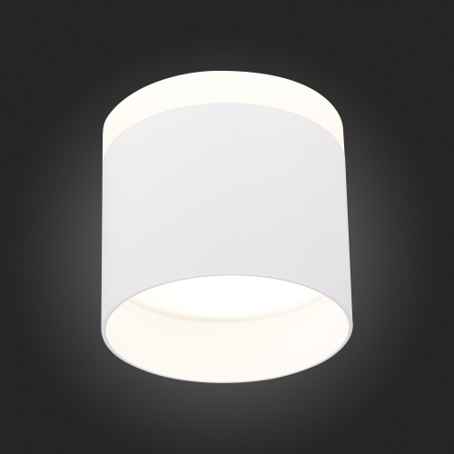 ST102.542.12 Светильник потолочный Белый LED 1*12W 4000K 936Lm Ra&gt;80 120° IP20 D100xH90 170-240V Накладные светильники