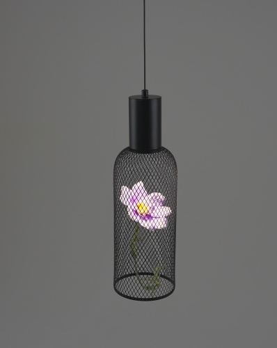 Светильник подвесной светодиодный Moderli V11873-PL Ophelia