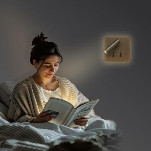 CL704423 Декарт Бронза Св-к Настенный