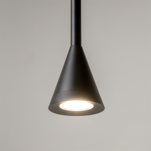 Подвесной светильник Maytoni P064PL-01B-1