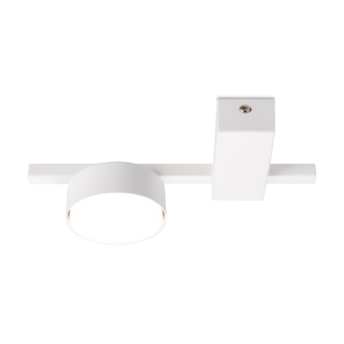 Потолочный светильник Freya FR5363CL-01W