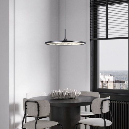 Подвесной светильник TORD ONE D40 Black 306255-01