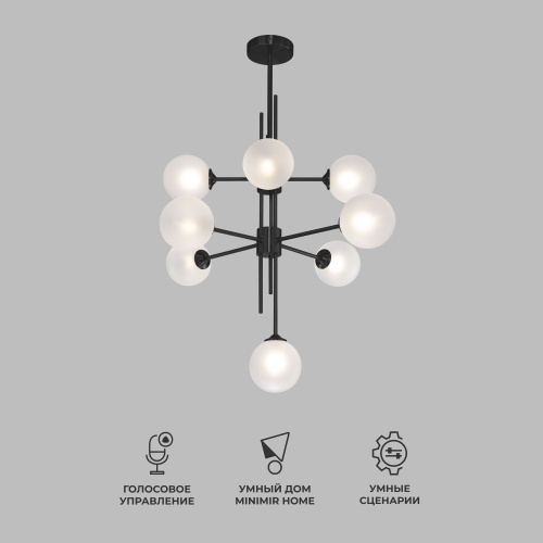 Потолочный светильник Eurosvet 50383 черный Smart