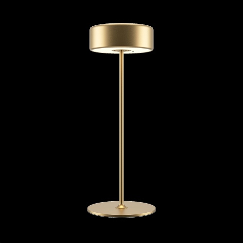 Аккумуляторный светильник Maytoni MOD229TL-L3G3K2