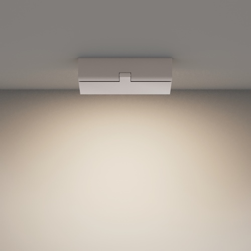 Потолочный светильник Technical C133CL-12W4K-W