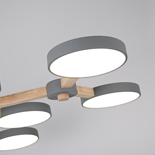 Потолочная люстра TURNA Серый 178305-26