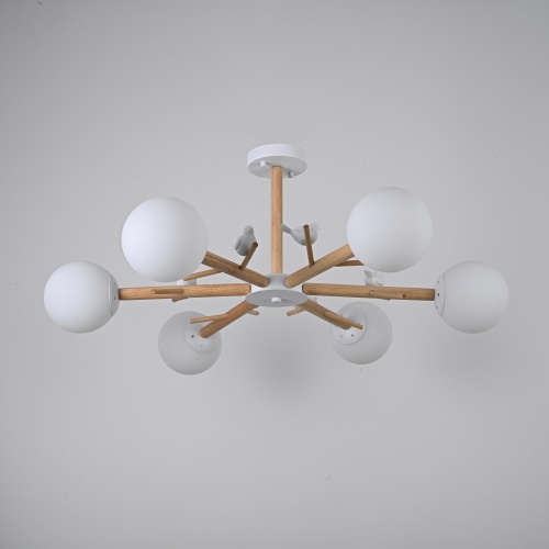 Потолочная люстра FINCH 6 178021-26