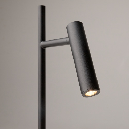 Настольный светильник Maytoni Z010TL-L8B3K