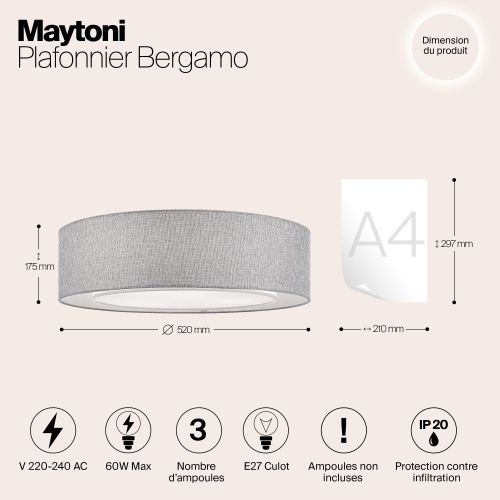 Потолочный светильник Maytoni MOD613CL-04GR
