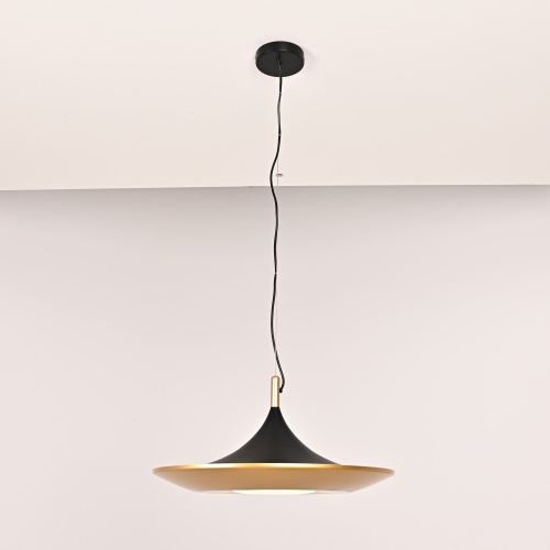 Подвесной светильник RASK D50 309065-26