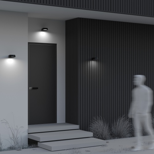 Уличный настенный светильник Outdoor O443WL-L12GF3K