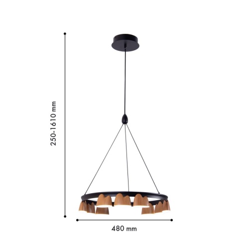 Подвесная люстра Favourite 4266-9P, подвесная люстра, D480xH250/1610, LEDx40W, 1720LM, 4000K, included