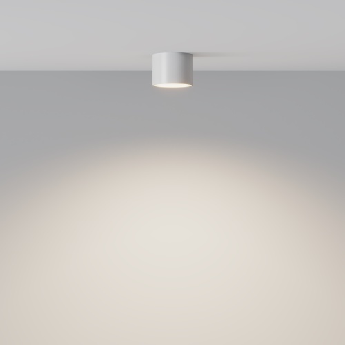 Потолочный светильник Technical C096L-GX53-WBS