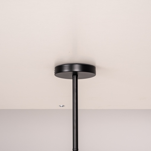 Люстра На Штанге Late D55 Black от Imperiumloft 193586-26
