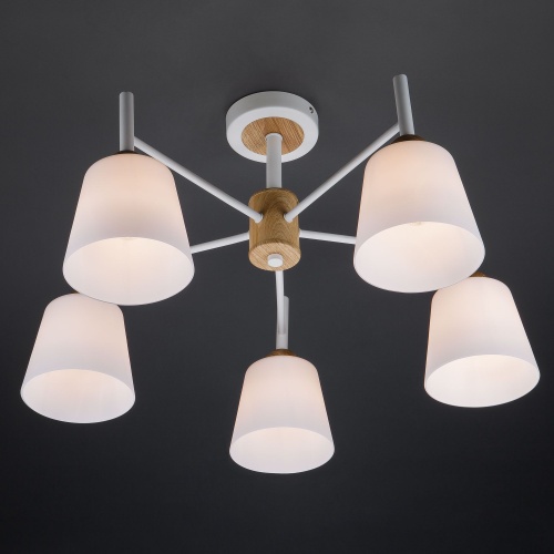 Потолочный светильник Eurosvet 70085/5 белый