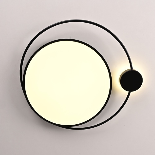 Потолочный Светильник Destin D50 Black от Imperiumloft 193727-26
