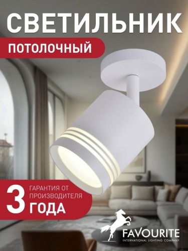 Настенный/потолочный светильник 3065-1U