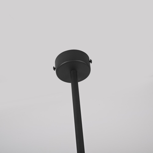 Потолочный Светильник Gordian Black 10W от Imperiumloft 213633-23