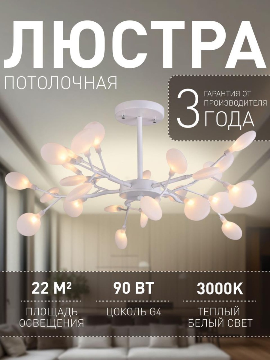 card-img