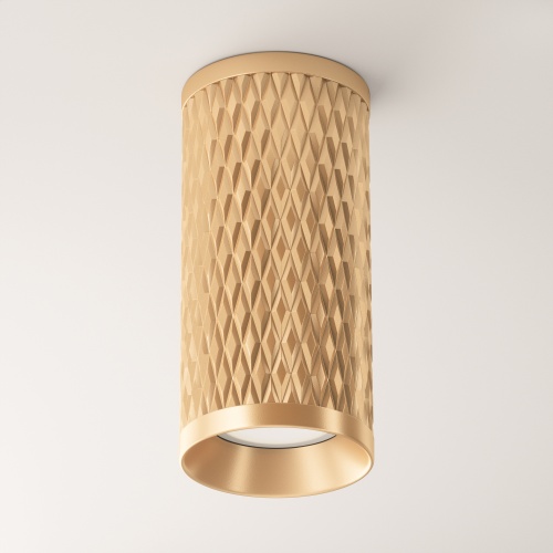 Потолочный светильник Technical C036CL-01G