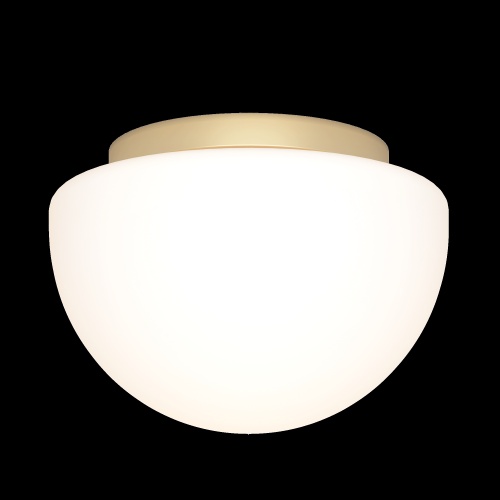 Потолочный светильник Maytoni MOD270CL-01G