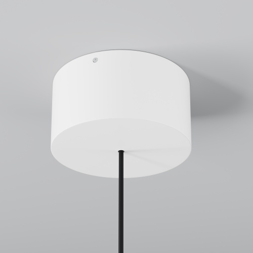 Уличный подвесной светильник Outdoor O491PL-L8W3K