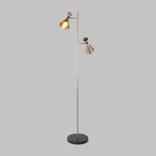 Напольный светильник Bogate's 01109/2