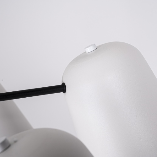 Подвесная люстра SKYM D105 203499-26