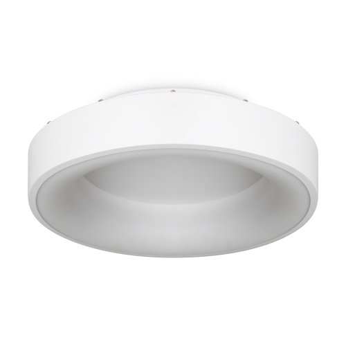 Потолочный светильник Freya FR6118CL-L45W